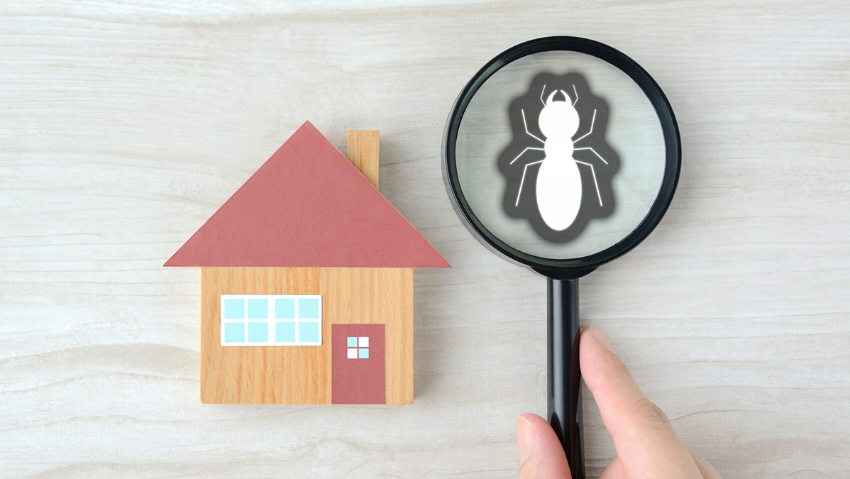 ゴキブリなど害虫の大量発生