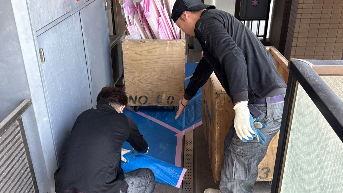 未経験からプロに育つための教育とキャリア